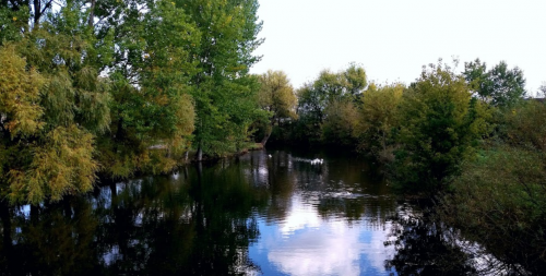 Озеро в селі Новостав Волинської області