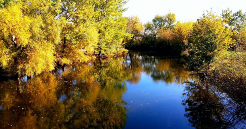 Озеро в селі Новостав Волинської області