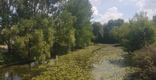 Озеро в селі Новостав Волинської області