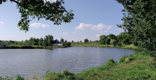 Озеро в селі Новостав Волинської області