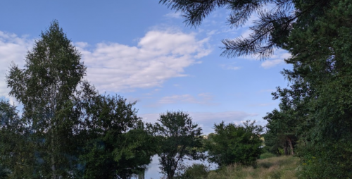 Піонерське озеро в селі Гаразджа Волинської області