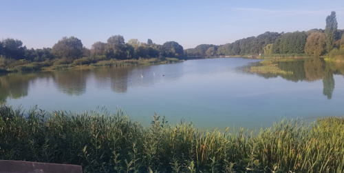 Піонерське озеро в селі Гаразджа Волинської області