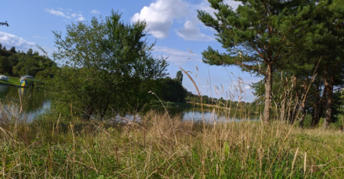 Піонерське озеро в селі Гаразджа Волинської області