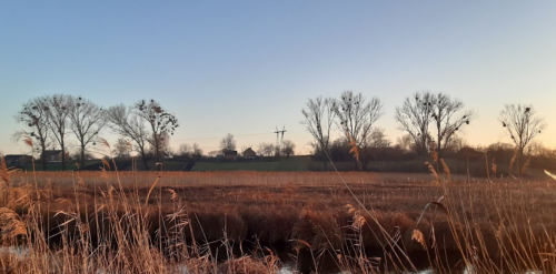 Риболовля та відпочинок на ставку: «Любительский» 