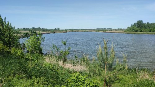 Риболовля та відпочинок на ставку: «Любительский» 