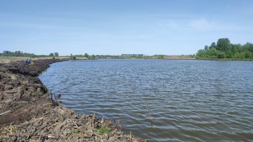 Риболовля та відпочинок на ставку: «Любительский» 