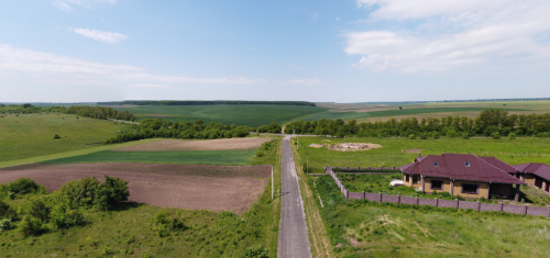 Ставки Македона біля села Промінь Волинської області