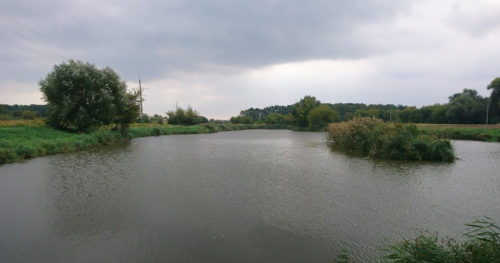 Ставки Македона біля села Промінь Волинської області