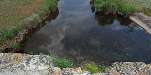 Риболовля на каналі в смт. Якимівка Запорізької області