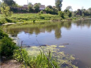 Риболовля на озерах Качкарівка в Луцьку Волинської області