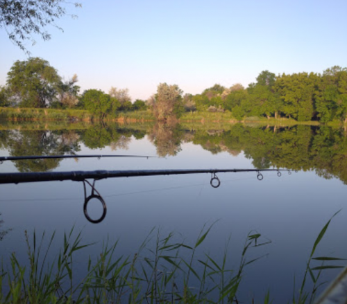 Риболовля на ставку біля села Михайлівка Запорізької області