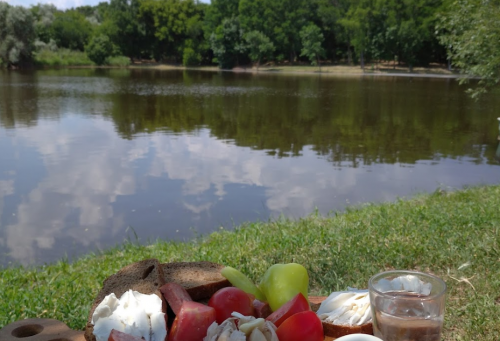 Риболовля на ставку біля села Михайлівка Запорізької області
