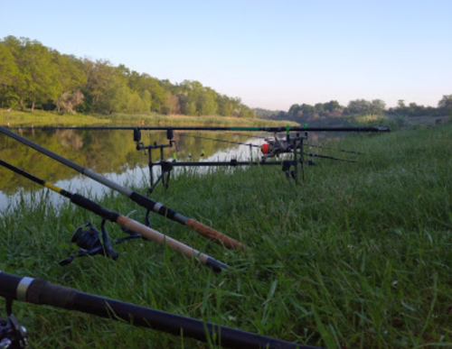 Риболовля на ставку біля села Михайлівка Запорізької області