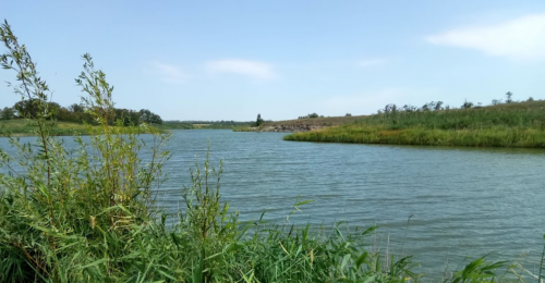 Риболовля на ставку в селі Софіївка Запорізької області