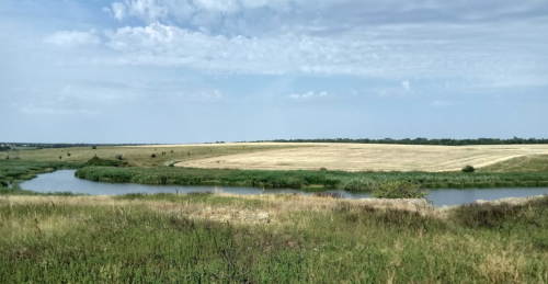 Риболовля на ставку в селі Софіївка Запорізької області