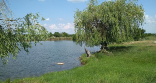 Рибалка на ставку в селі Долинське, Запорізька область