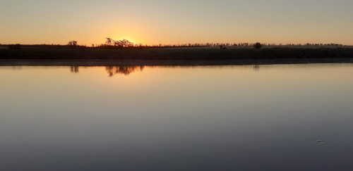 Рибалка на ставку в селі Долинське, Запорізька область