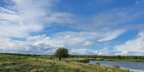 Рибалка на ставку в селі Долинське, Запорізька область