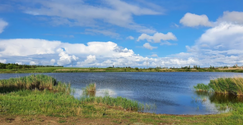 Рибалка на ставку в селі Долинське, Запорізька область