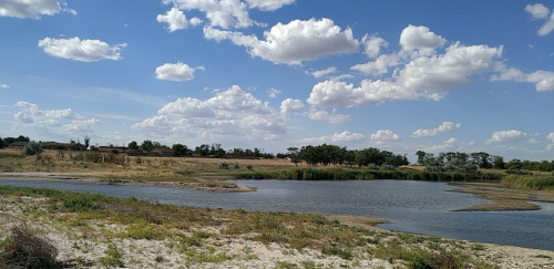 Рибалка на ставку поблизу села Кримка  у Запорізької області