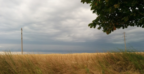 Рибалка на ставку поблизу села Кримка  у Запорізької області