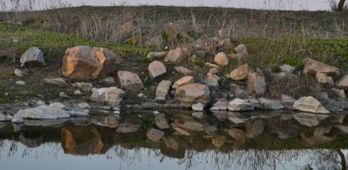 Рибалка на ставку поблизу села Кримка  у Запорізької області