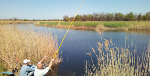 Риболовля на р. Верхня терса у с. Тимошівка Запорізької області