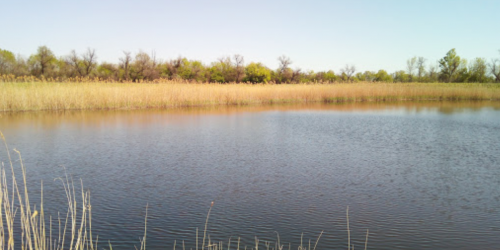 Риболовля на р. Верхня терса у с. Тимошівка Запорізької області