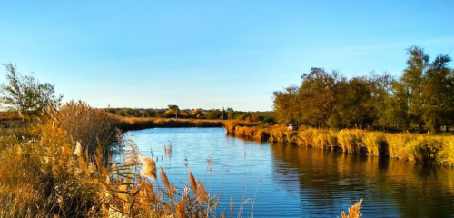 Риболовля на р. Верхня терса у с. Тимошівка Запорізької області