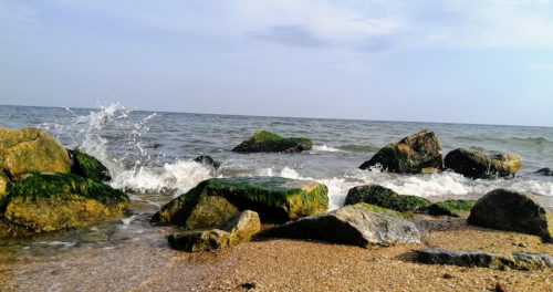 Морська риболовля та відпочинок в селі Новопетрівка, Запорізька область