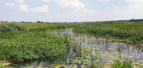 Риболовля на річці Чорногузька Волинської області