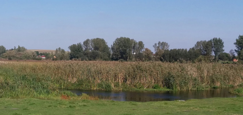 Риболовля на річці Чорногузька Волинської області