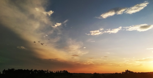 Рибалка на річці Гуйва у Житомирській області