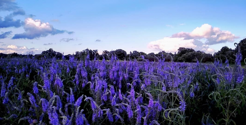 Рибалка на річці Гуйва у Житомирській області