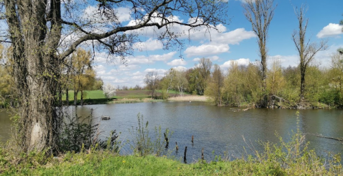 Рибалка на річці Гуйва у Житомирській області