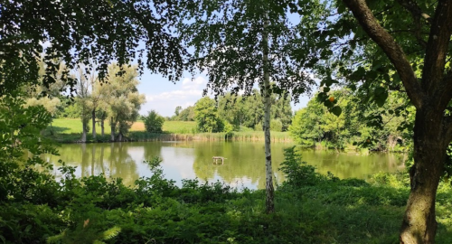 Рибалка на річці Гуйва у Житомирській області