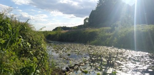 Рибалка на річці Конопелька у Волинській області