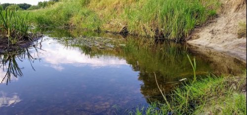 Рибалка на річці Конопелька у Волинській області