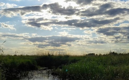 Рибалка на річці Конопелька у Волинській області