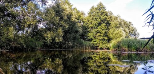 Рибалка на річці Конопелька у Волинській області