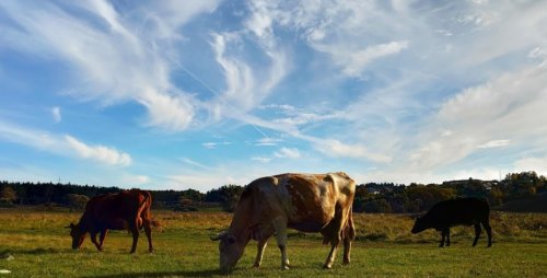 Рибалка на річці Соб у Вінницькій області