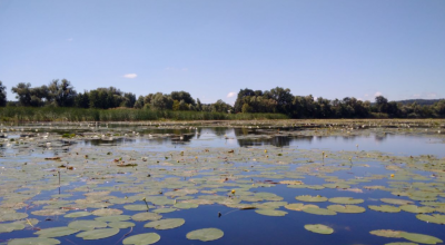 Рибалка на Росі Вінницька область