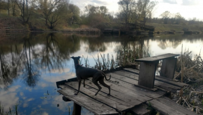 Рибалка на Росі Вінницька область