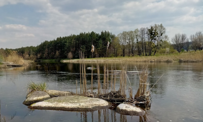 Рибалка на Росі Вінницька область