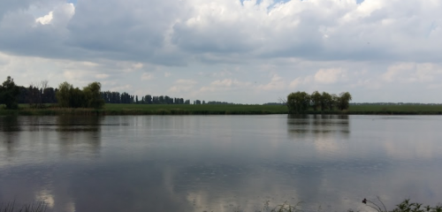 Рибалка на водосховищі Гуйва у Житомирській області