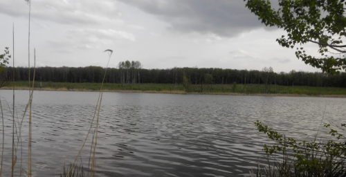 Рибалка на водосховищі Гуйва у Житомирській області