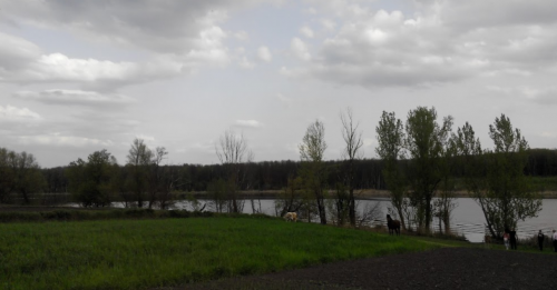 Рибалка на водосховищі Гуйва у Житомирській області