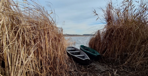 Рибалка на водосховищі Гуйва у Житомирській області