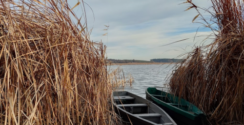 Рибалка на водосховищі Гуйва у Житомирській області