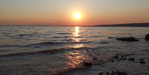 Рибалка на ставку в селі Скельки Запорізької області